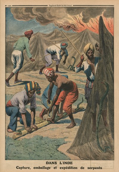 Fangen, Verpacken und Versenden von Schlangen, Indien, Rückseitige Illustration aus 